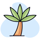 palmera icon