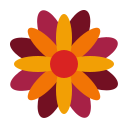 Marigold 
