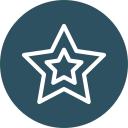 estrella icon