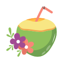 jugo de coco icon