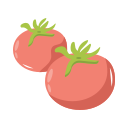 tomate icon