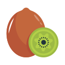 kiwi icon