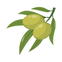 aceituna icon