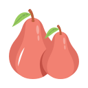 manzana rosa icon