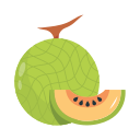 melón icon