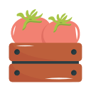 tomate icon