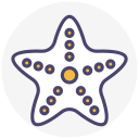 estrella de mar icon