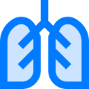 Pulmones icon