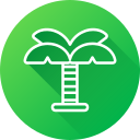 palmera icon