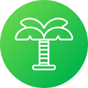 palmera icon