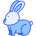 conejo icon