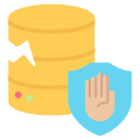 prevención de pérdida de datos icon