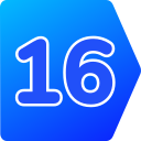 16 icon