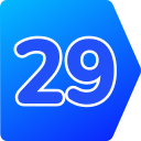 29 icon