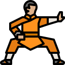 Shaolin icon