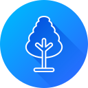 Tree icon