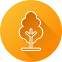 Tree icon