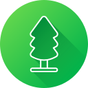 Tree icon