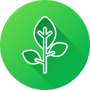 baum icon