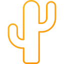 cactus icon