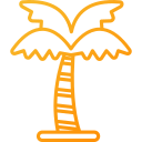 palmera icon