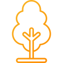 Árbol icon