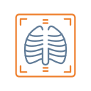 X ray icon