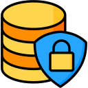 seguridad de datos icon