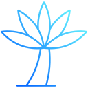 palmera icon