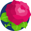 Rosa icon