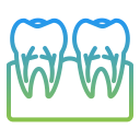 nervio dentario 