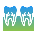 nervio dentario icon