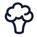 brócoli icon