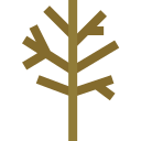 árbol icon