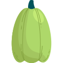 calabaza icon