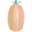 calabaza icon