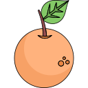 naranja icon