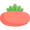 tomate icon