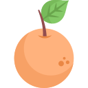 naranja icon