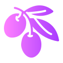 aceituna icon