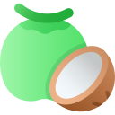 coco icon