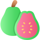 guayaba icon