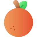 naranja icon