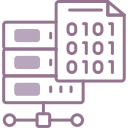 codificación de base de datos icon