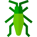 Saltamontes icon