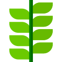 Planta icon