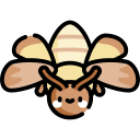 Polilla icon