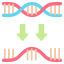 transcripción 