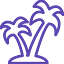 palmera icon