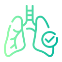 pulmonar icon